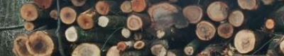 Information and guides on the design and use of biomass systems by homemicro.co.uk